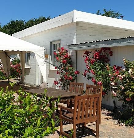 Ferienbungalow Haus Am Teich 볼텐하겐 외부 사진