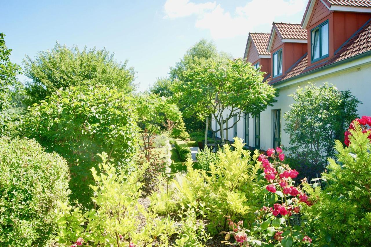 Ferienbungalow Haus Am Teich 볼텐하겐 외부 사진