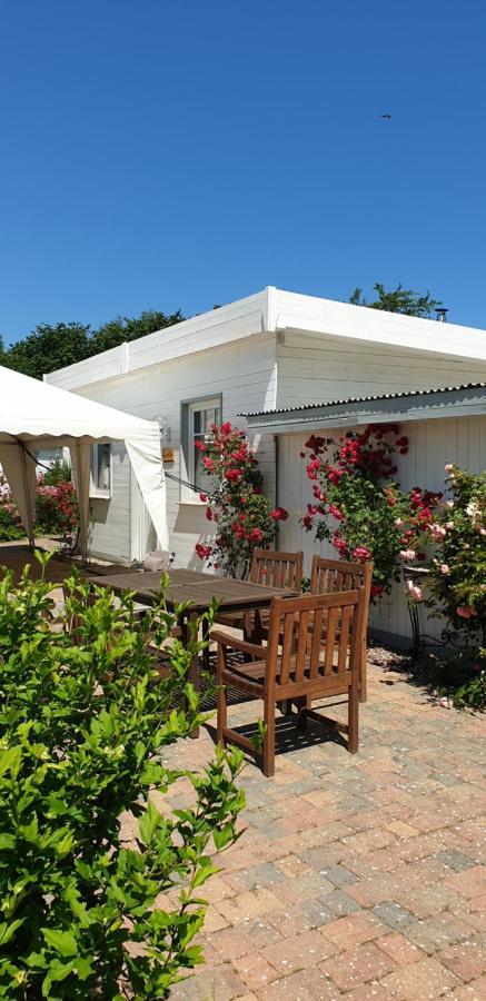Ferienbungalow Haus Am Teich 볼텐하겐 외부 사진