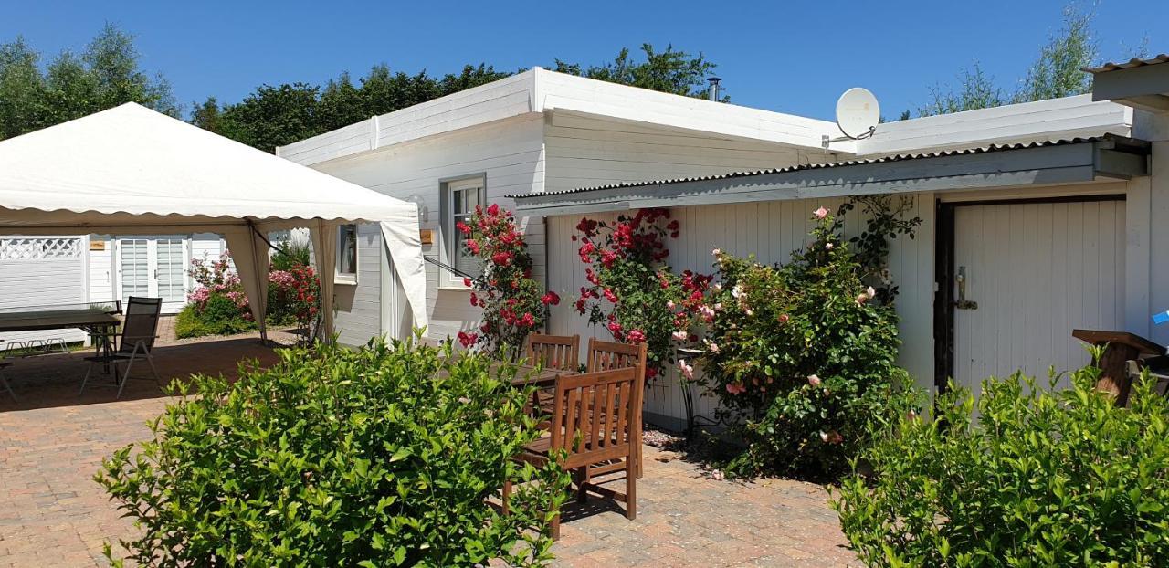 Ferienbungalow Haus Am Teich 볼텐하겐 외부 사진