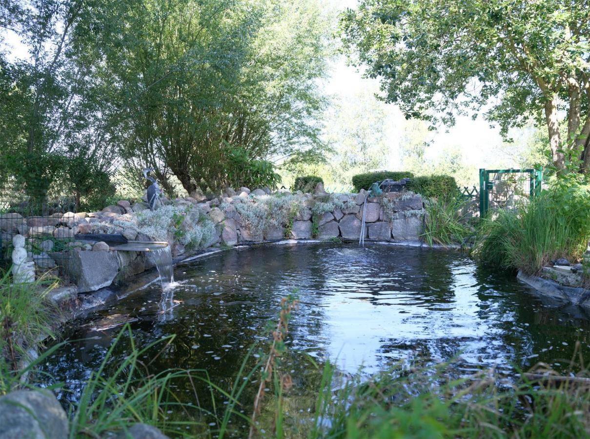 Ferienbungalow Haus Am Teich 볼텐하겐 외부 사진